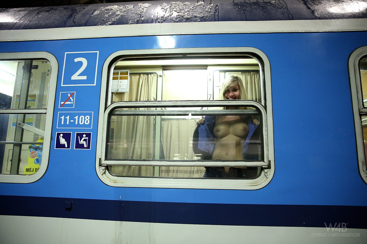 boobs, beach, car, ass, gas, bird